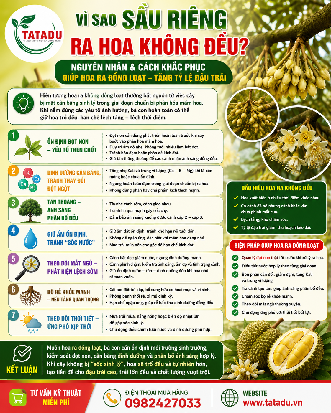 NGUYEN NHAN VA CACH KHAC PHUC HIEU QUA GIUP HOA RA DONG LOAT NGUYEN NHAN VA CACH KHAC PHUC HIEU QUA GIUP HOA RA DONG LOAT