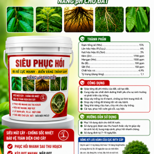 SIEU PHUC HOI HITOCO 2