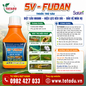 SV FUDAN