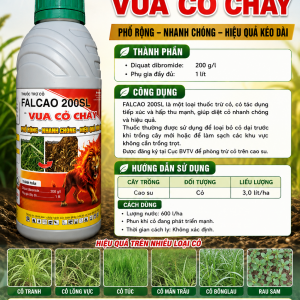 FALCAO 200SL HIEU VUA CO CHAY