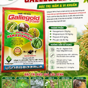 GALLEGOLD 71WP