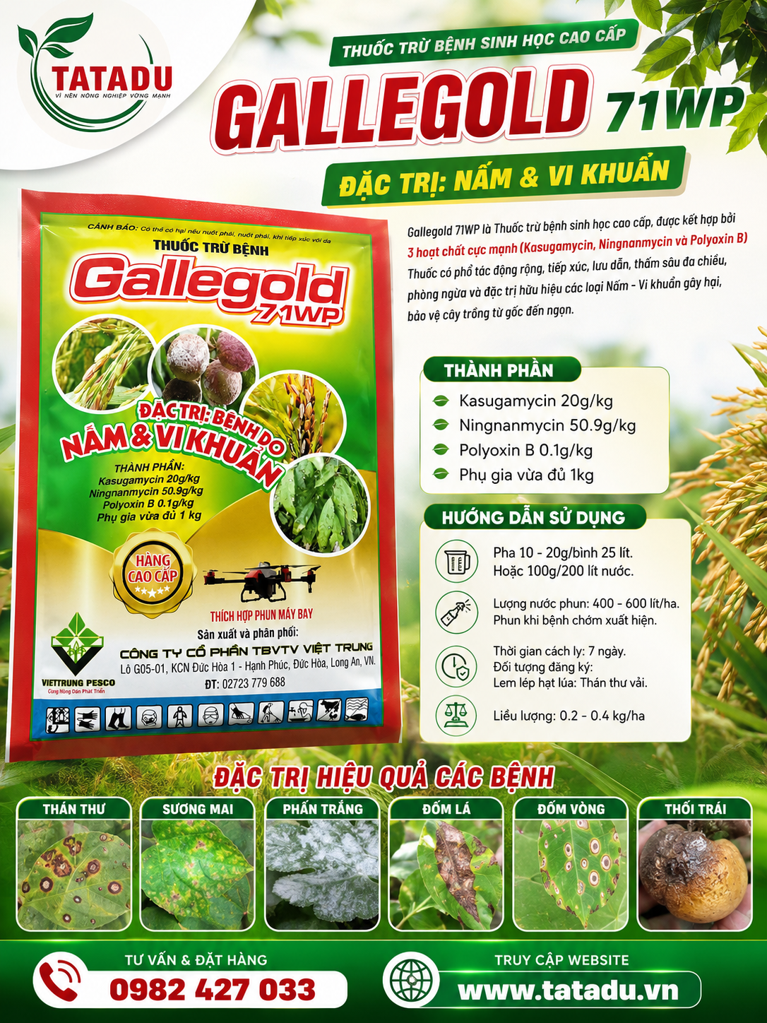 GALLEGOLD 71WP