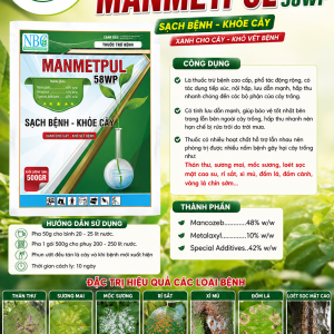 MANMETPUL 58WP