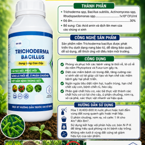 TRICHODERMA BACILLUS