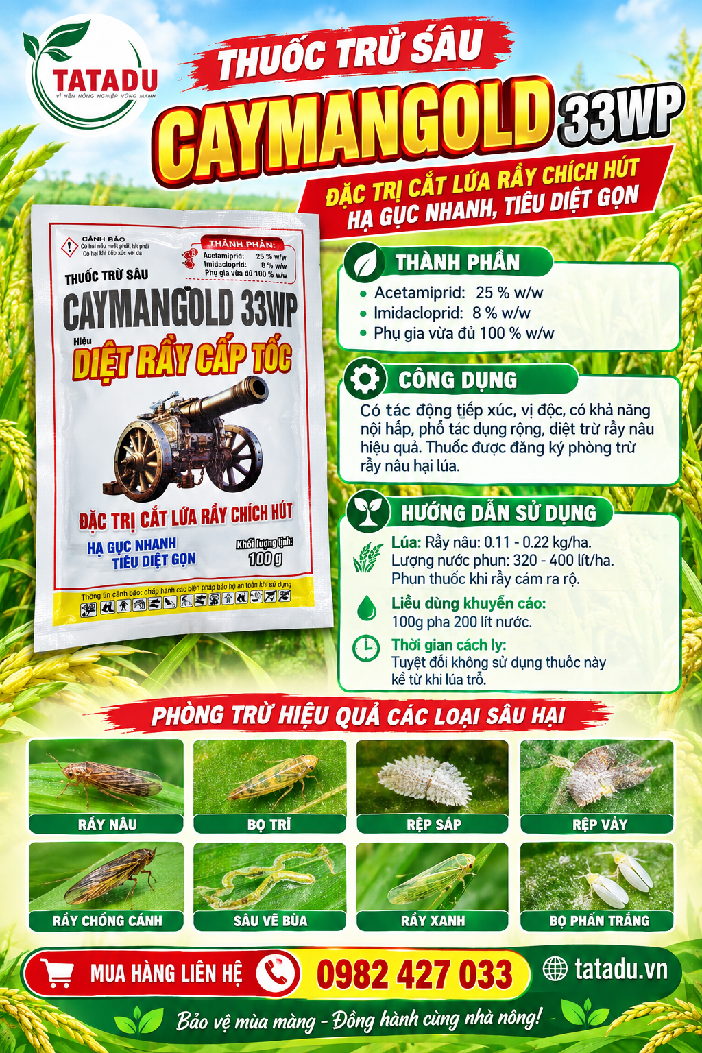 CAYMANGOLD 33WP CAYMANGOLD 33WP