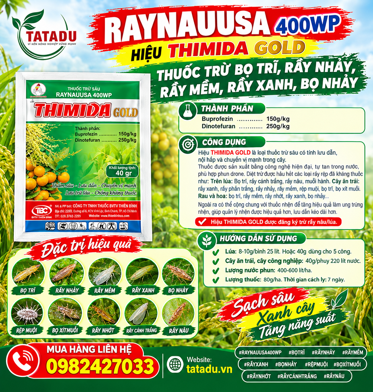 RAYNAUUSA 400WP HIEU THIMIDA GOLD RAYNAUUSA 400WP HIEU THIMIDA GOLD