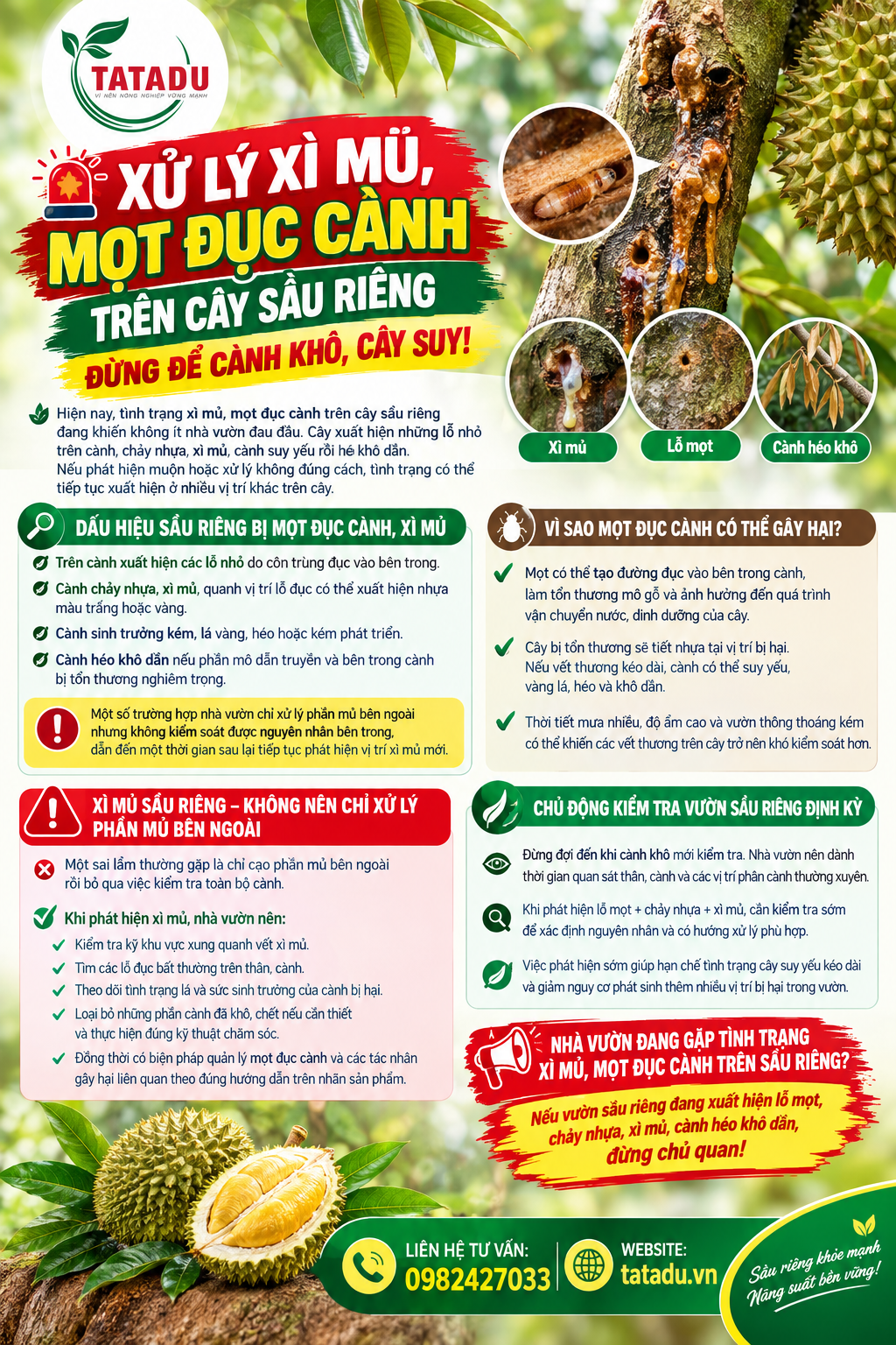 XU LY XI MU MOT DUC CANH TREN CAY SAU RIENG – DUNG DE CANH KHO CAY SUY
