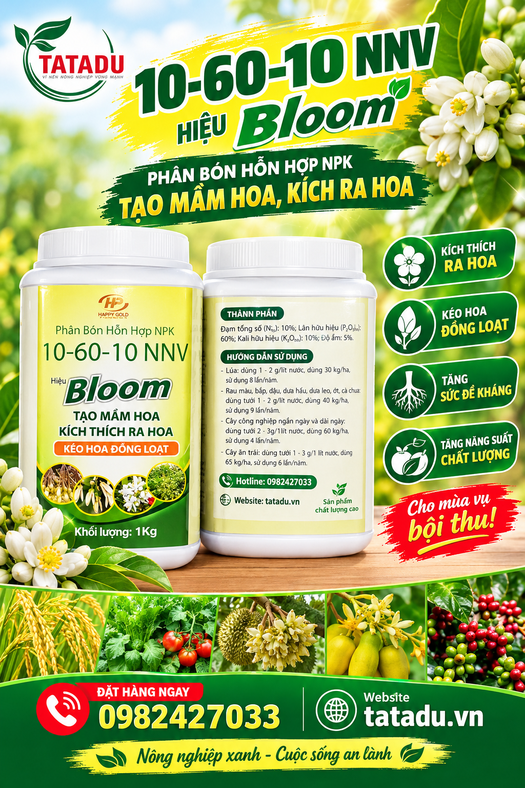 10 60 10 NNV HIEU BLOOM 10 60 10 NNV HIEU BLOOM