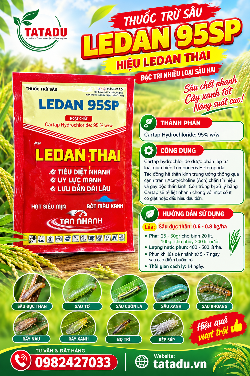 LEDAN 95SP HIEU LEDAN THAI LEDAN 95SP HIEU LEDAN THAI