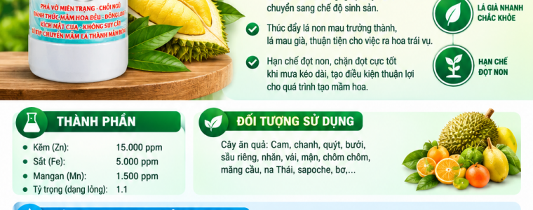 NGUYEN NHAN VA GIAI PHAP KHI SAU RIENG RA BONG LA BONG PHUON – BI QUYET CHUYEN MAM LA THANH MAM HOA