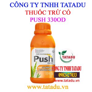 PUSH 330OD 1