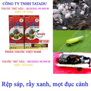 TE GIAC REP SAP