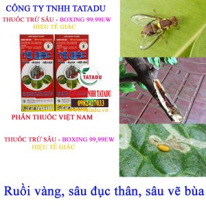 TE GIAC RUOI VANG