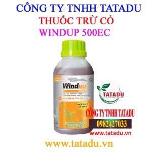 WINDUP 500EC 1