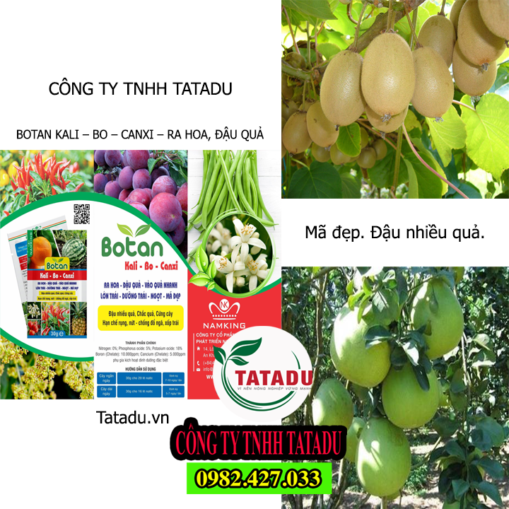 BOTAN TATADU1 BOTAN TATADU1