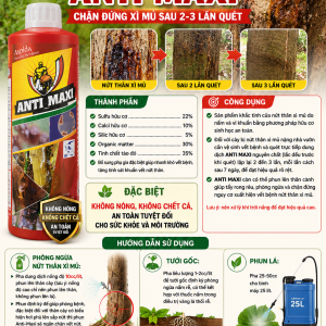 ANTI MAXI