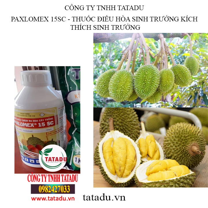 paxlomex tatadu1 paxlomex tatadu1