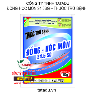 dong