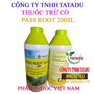 PASS ROOT 200SL