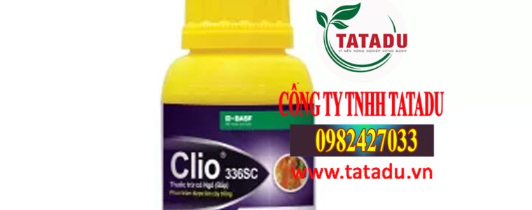 CLIO 336SC