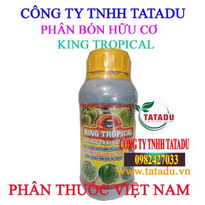 KING TROPICAL