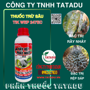 TIK WEP 247EC DAC TRI RAY NHAY REP SAP