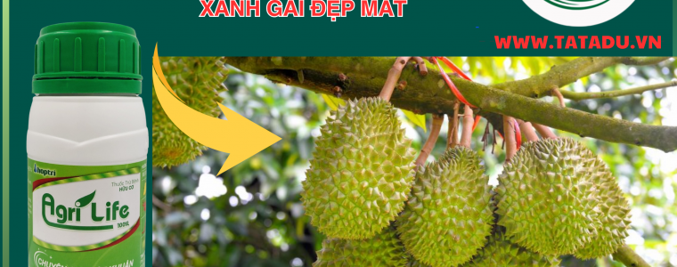 AGRI LIFE 100SL Giai Phap Vang Tay Trai Sau Rieng Tri Chay La Xanh Gai Dep Mat