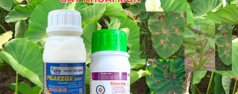 PILARZOX 255SC THAM SAU 30S PHONG TRU RAY COP HAI CAY KHOAI MON