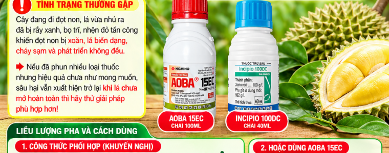 INCIPIO 100DC HOAC AOBA 15EC CHO SAU RIENG DANG PHAT DOT NON