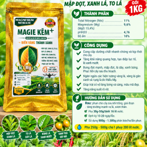 MAGIE KẼM +