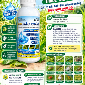 NAS HIEU VUA SAU KHANG