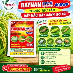 RAYNAN USA 400WP