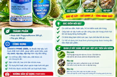 SIVANTO PRIME 200SL – GIẢI PHÁP QUẢN LÝ RẦY XANH, RỆP SÁP, RỆP VẢY TRÊN CÂY SẦU RIÊNG!