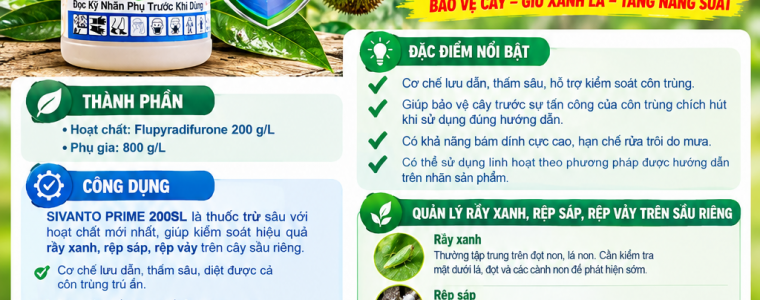 SIVANTO PRIME 200SL GIAI PHAP QUAN LY RAY XANH REP SAP REP VAY TREN CAY SAU RIENG