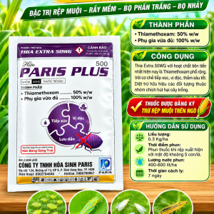 THIA EXTRA 50WG Hieu PARIS PLUS 500 1