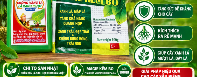 BO DOI DUONG LA – DUONG DOT SAU RIENG