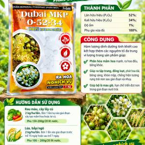 DUBAI MKP 0 52 34