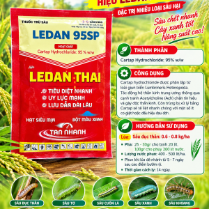LEDAN 95SP HIEU LEDAN THAI