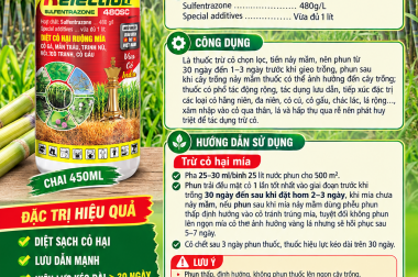 RELECTION 480SC – THUỐC TRỪ CỎ RUỘNG MÍA HÀNG XỊN, HIỆU LỰC CAO