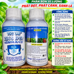 VIGAMI ZIN SUPER KEM HUU CO